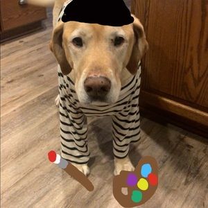 Meet your Posher, Hunter